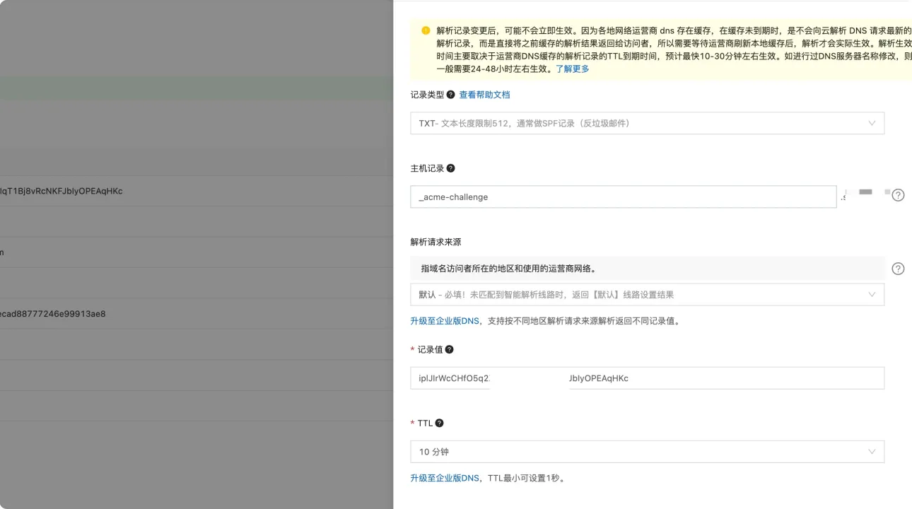 TXT 解析记录
