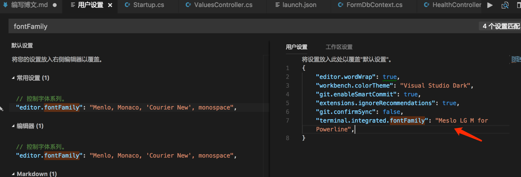 VS Code 的终端字体